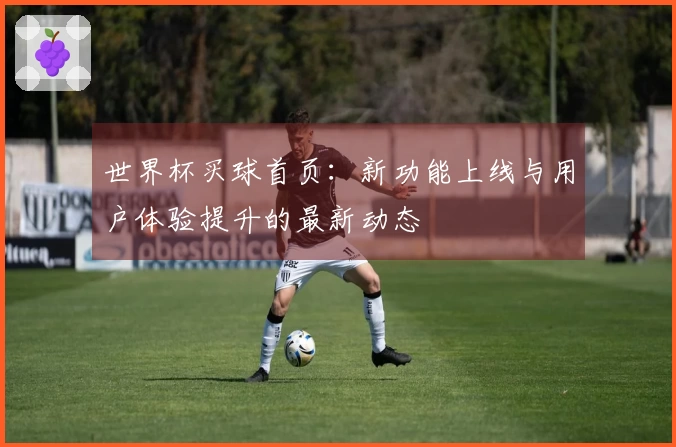 世界杯买球首页：新功能上线与用户体验提升的最新动态