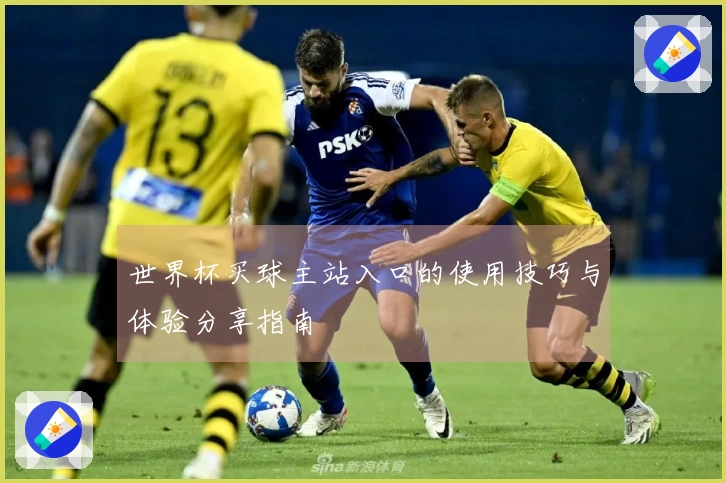 世界杯买球主站入口的使用技巧与体验分享指南