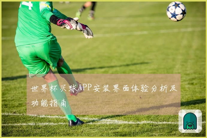世界杯买球APP安装界面体验分析及功能指南