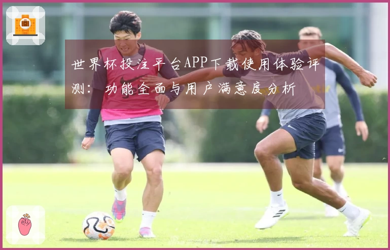 世界杯投注平台APP下载使用体验评测：功能全面与用户满意度分析